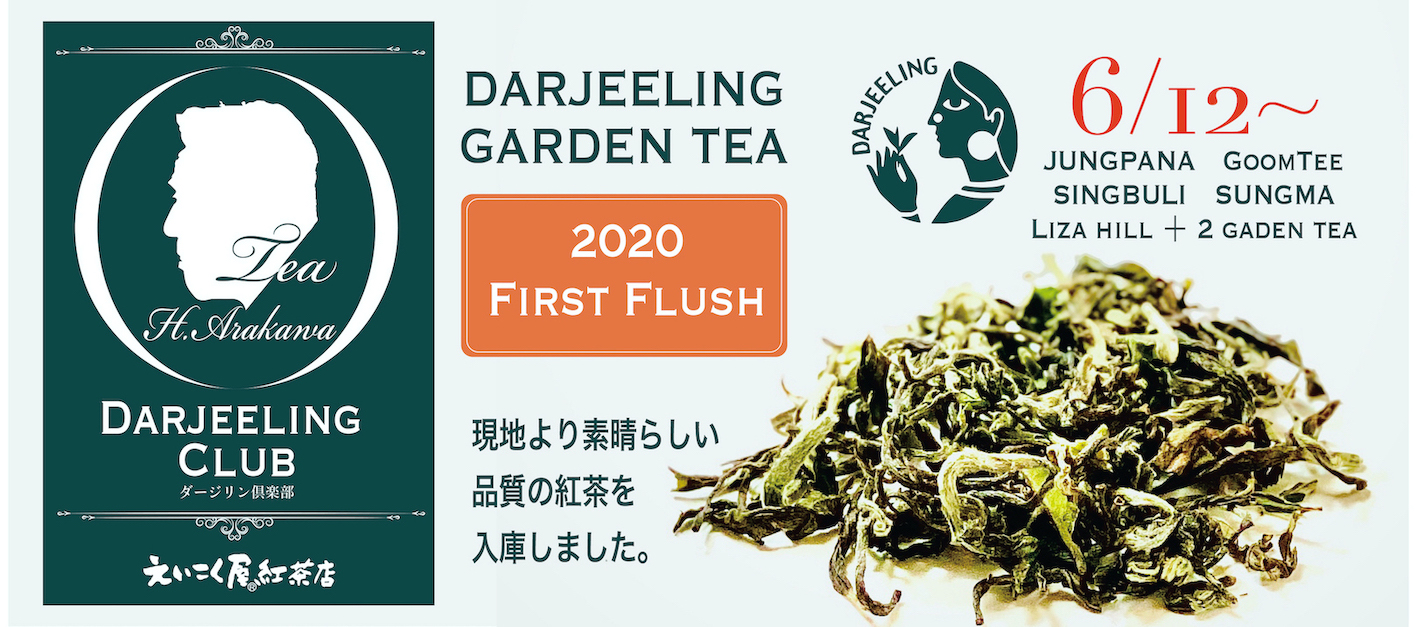 ダージリンファーストフラッシュ